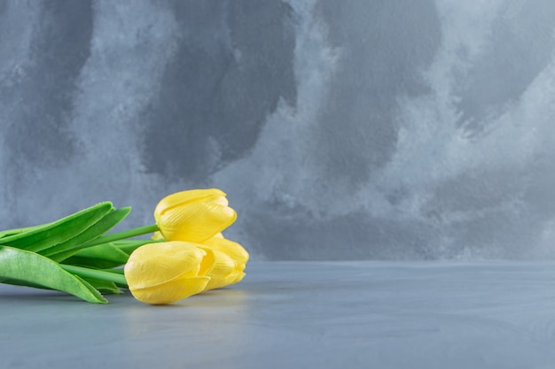 Free Photo bouquet of yellow tulips, on the white table.