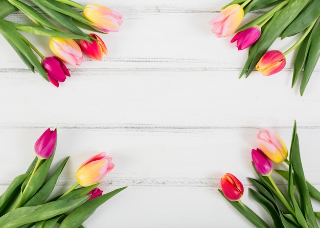 Bouquets of tulips along edges