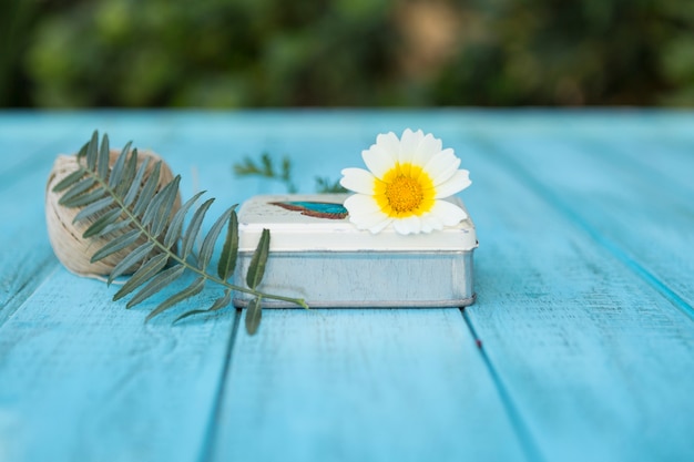 Free photo box with plants and rope on blue surface