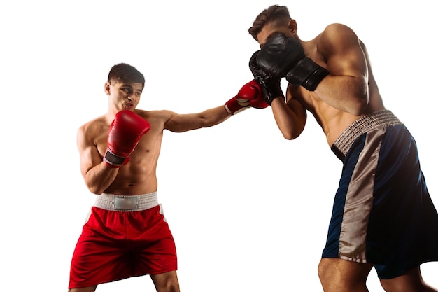 Boxers man fighting in ring