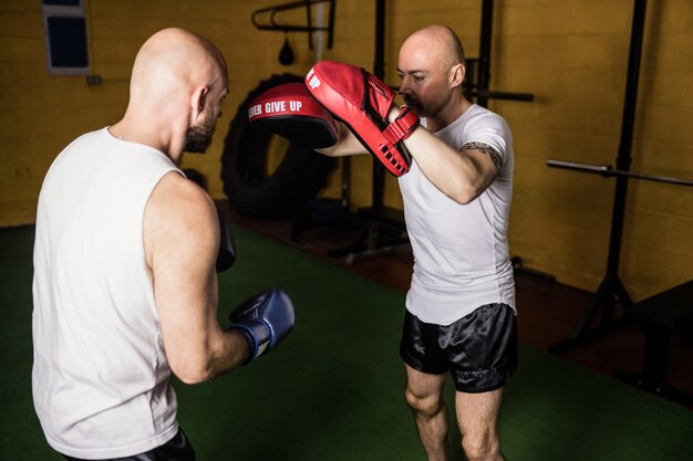 Boxers practicing boxing in the fitness studio