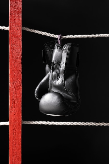 Free Photo boxing gloves hang by the ring