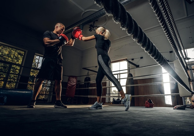 Free Photo boxing trainer and his new student have a sparring on the ring wearing boxing gloves.