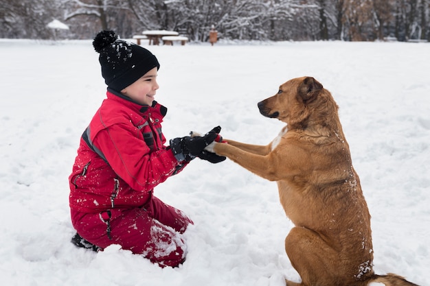 Free Photo boy playing with brown dog on snow in winter