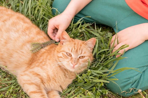 Boy with cat outdoor