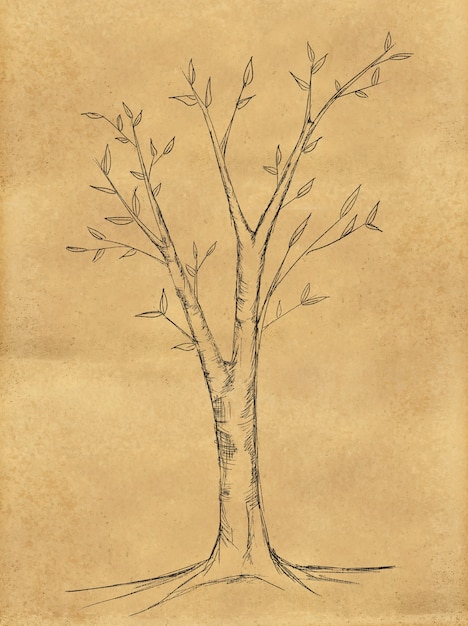 Free photo branch tree sketch on paper