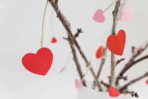 Free photo branches of a plant in a white pot with hearts hanging from close up