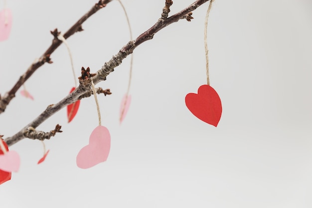 Branches of a plant with hanging hearts