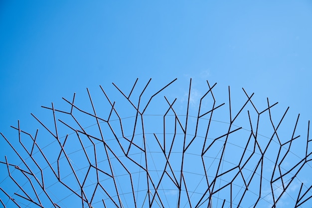 Branches of a tree with sky background