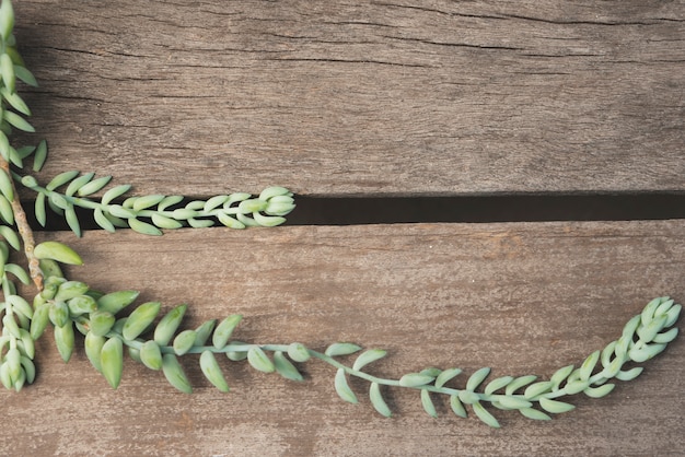 Free photo branches on wooden table