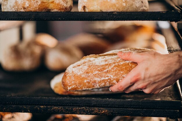 Free Photo bread baking industry, tasty pastry