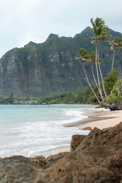 Free Photo breathtaking hawaii landscape with the beach