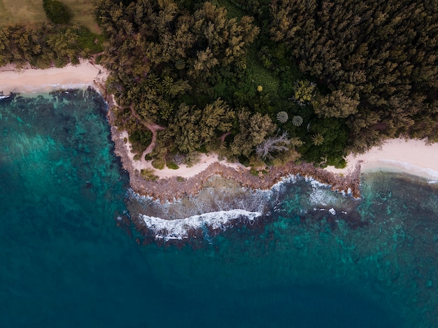 Free Photo breathtaking hawaii landscape with the blue sea