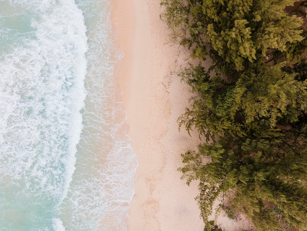 Breathtaking hawaii landscape with ocean