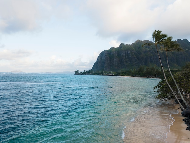 Free photo breathtaking hawaii landscape with ocean