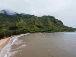 Free photo breathtaking hawaii landscape with the sea