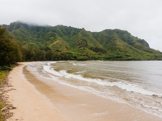 Breathtaking hawaii landscape with the sea