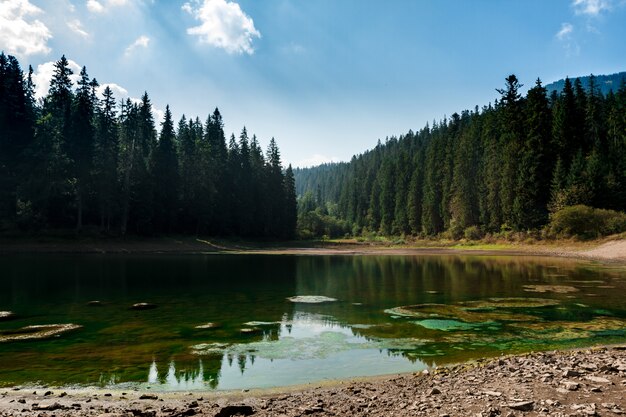 Breathtaking landscape of lake high in Carpathian mountains