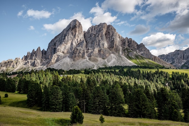 Free photo breathtaking landscape shot of a beautiful white mountain with evergreen tree forest at its base