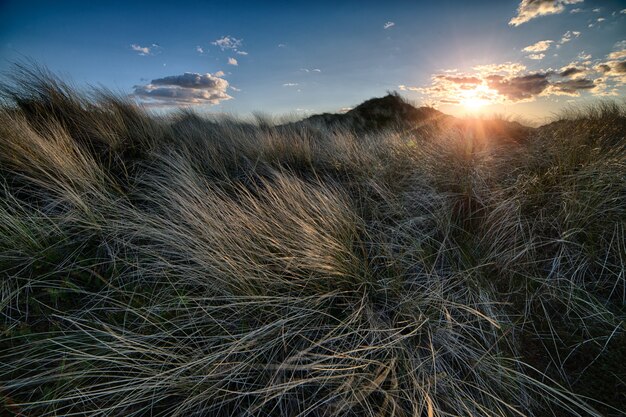 Breathtaking sunset over the autumn field under the clear sky