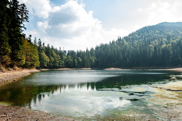 Free photo breathtaking view of lake high in carpathian mountains