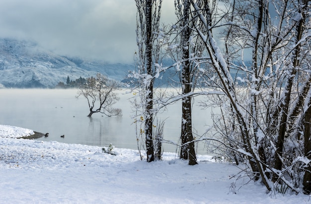 Breathtaking view of the Lake Wanaka in Wanaka village, New Zealand