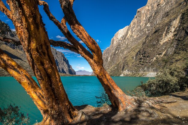 Breathtaking view of the trees by the lake in Huascaran National Park captured in Huallin, Peru