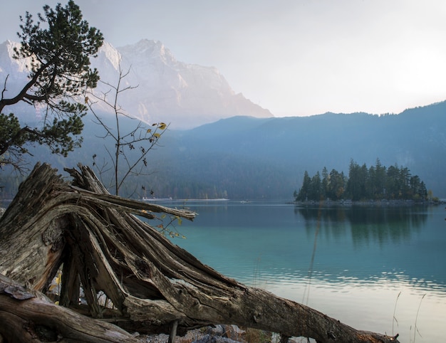 Free photo breathtaking view of zugspitze lake surrounded with forests in eibsee