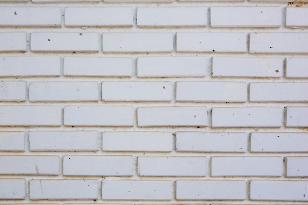 Free Photo brick mortar background for design.