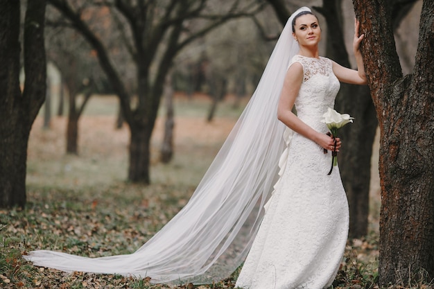 Bride leaning against a tree