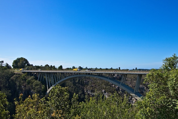 Free Photo bridge surrounded by greenery under the clear sky in garden route national park