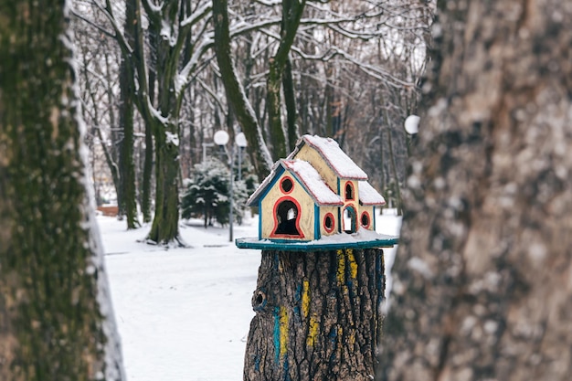 Free photo bright bird feeder in the winter forest