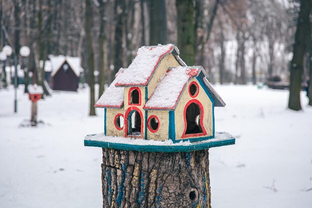 Bright bird feeder in the winter forest