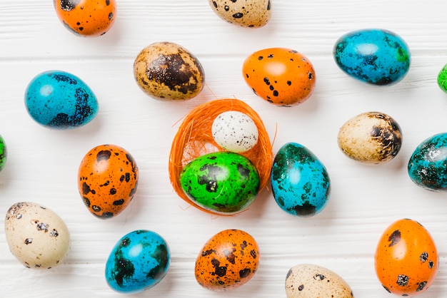 Bright collection of colored quail eggs