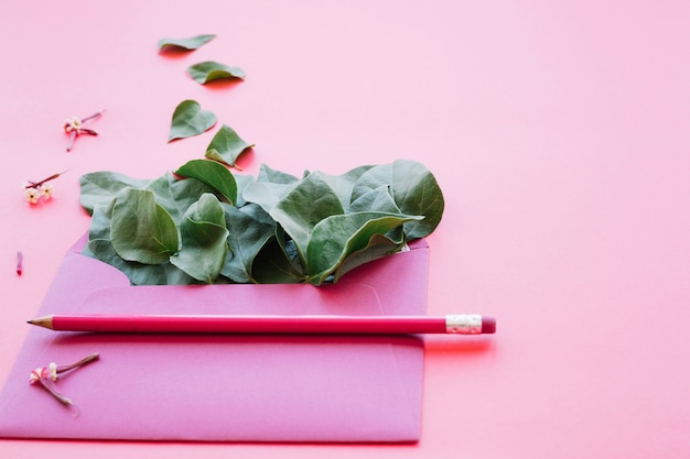 Bright composition of leaves in envelope 