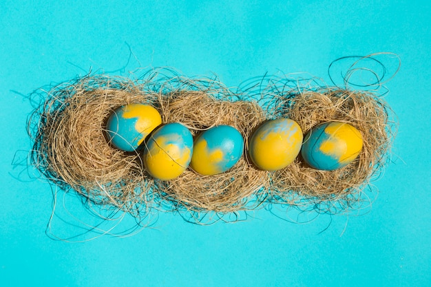 Free photo bright easter eggs in nests on blue table