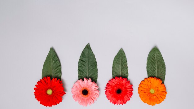 Bright flowers buds with leaves on table