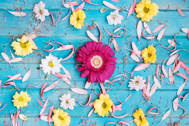 Bright flowers on petals