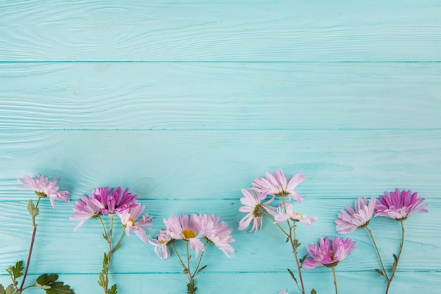 Bright flowers scattered on wooden table