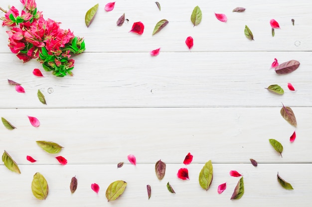 Bright petals and flowers