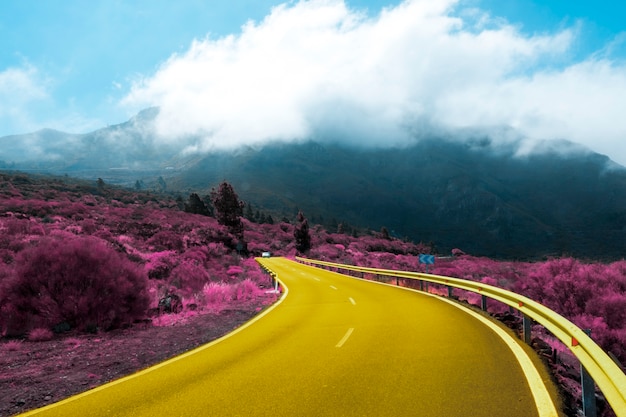 Free photo bright pop landscape of road