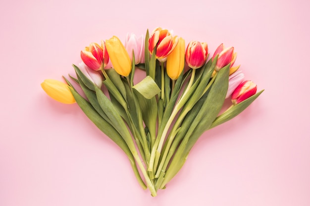 Bright tulip flowers on pink table