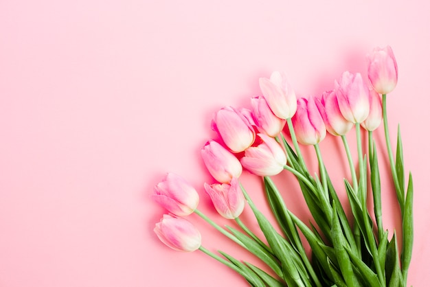 Free photo bright tulip flowers on pink table