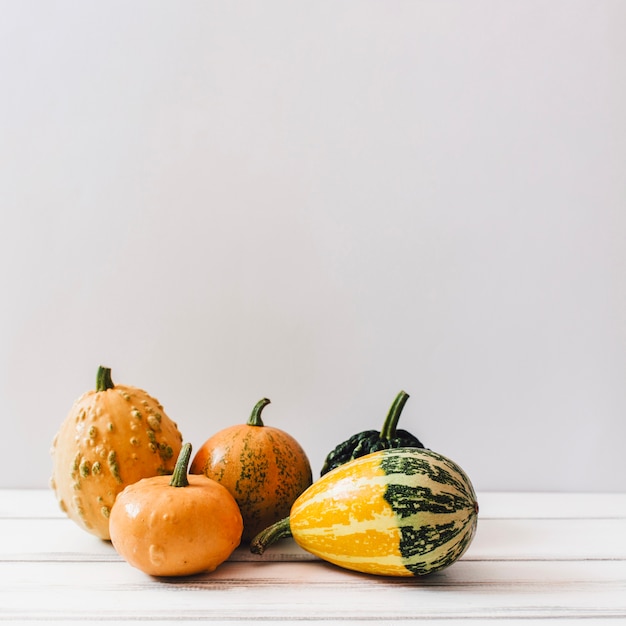 Free photo bright various pumpkins