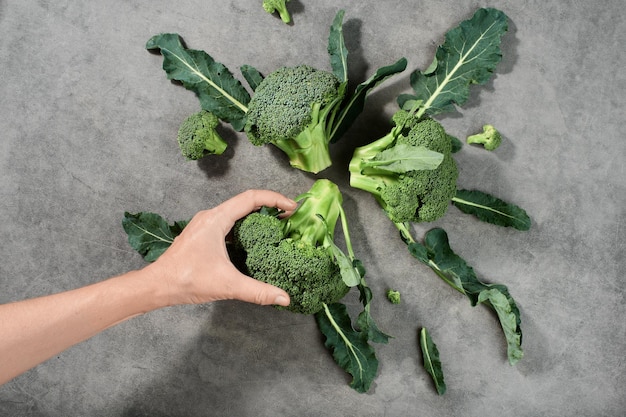 Broccoli are laid out on a gray background, top view. Woman hand takes a cabbage for cooking dinner. Healthy vegetable products, food delivery from farms