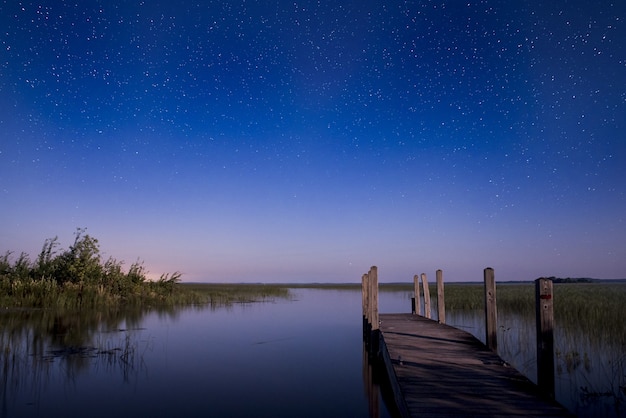 Free Photo brown dock in body of water during sunrise