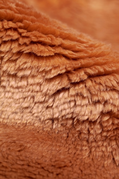 Free Photo brown fur close up detail