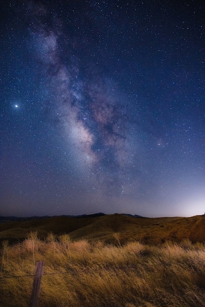 Free Photo brown grass field under blue sky during night time