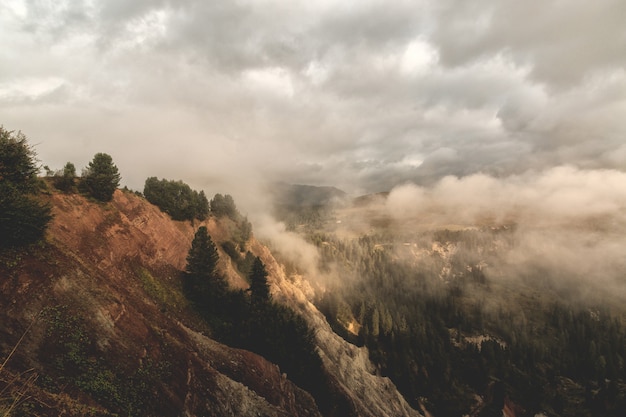 Brown and Green Mountain