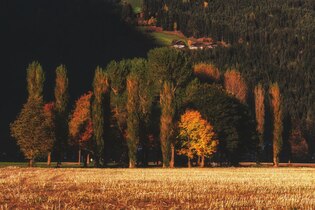 Autumn landscape photos